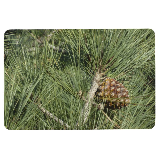Torrey Pine Closeup California Botanical Bodenmatte (Vorderseite)