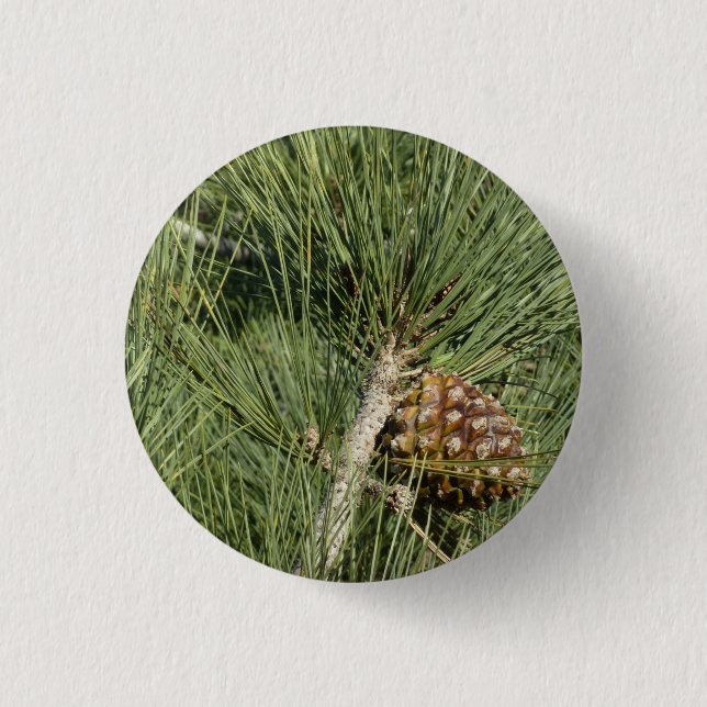 Torrey Pine Closeup California Botanical Button (Vorderseite)