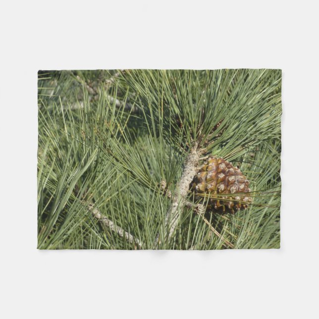 Torrey Pine Closeup California Botanical Fleecedecke (Vorderseite (Horizontal))