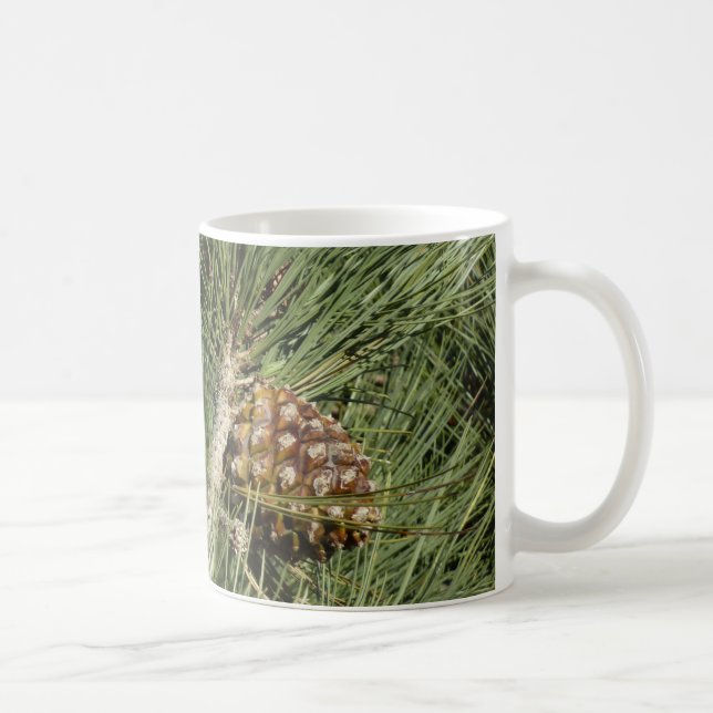 Torrey Pine Closeup California Botanical Kaffeetasse (Rechts)