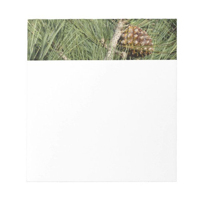 Torrey Pine Closeup California Botanical Notizblock (Vorderseite)