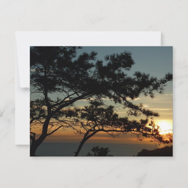 Torrey Pine Sunset I California Landschaft (Vorderseite)