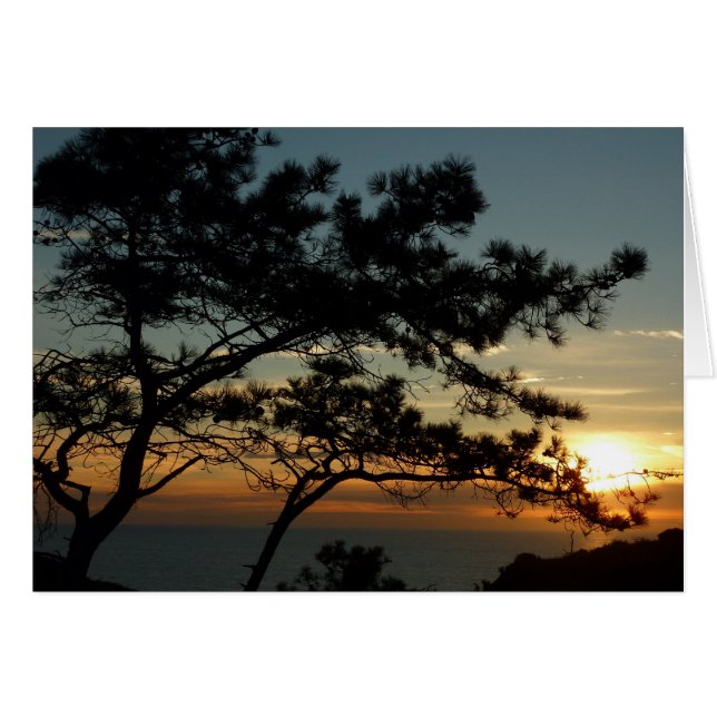 Torrey Pine Sunset I California Landschaft (Vorderseite (Horizontal))