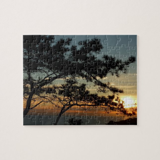 Torrey Pine Sunset I California Landschaft (Horizontal)