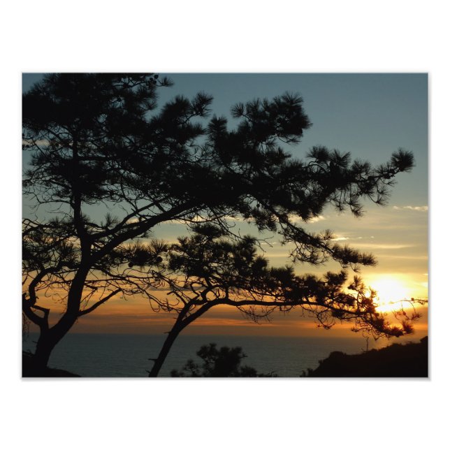 Torrey Pine Sunset I California Landschaft Fotodruck (Vorne)