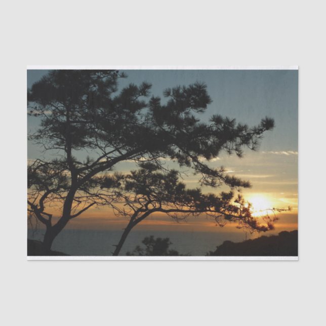 Torrey Pine Sunset I California Landschaft Seidenpapier (Vorderseite)