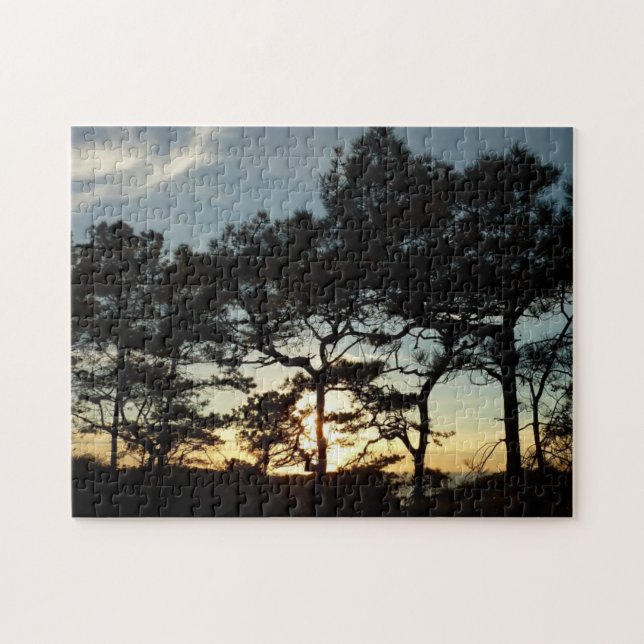 Torrey Pine Sunset II Kalifornien Landschaft (Horizontal)