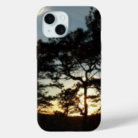 Torrey Pine Sunset II Kalifornien Landschaft