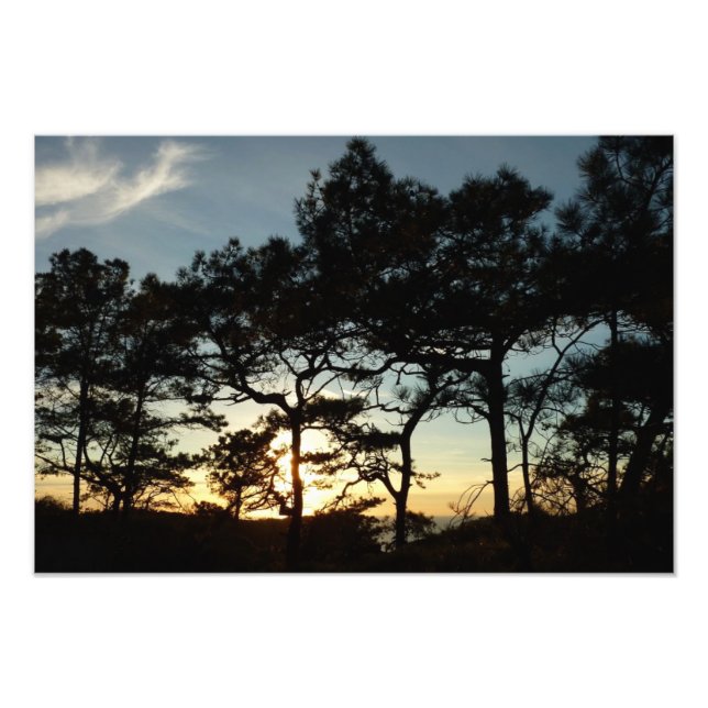 Torrey Pine Sunset II Kalifornien Landschaft Fotodruck (Vorne)