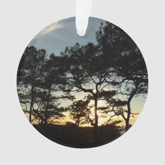 Torrey Pine Sunset II Kalifornien Landschaft Ornament (Vorderseite)