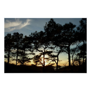 Torrey Pine Sunset II Kalifornien Landschaft Poster