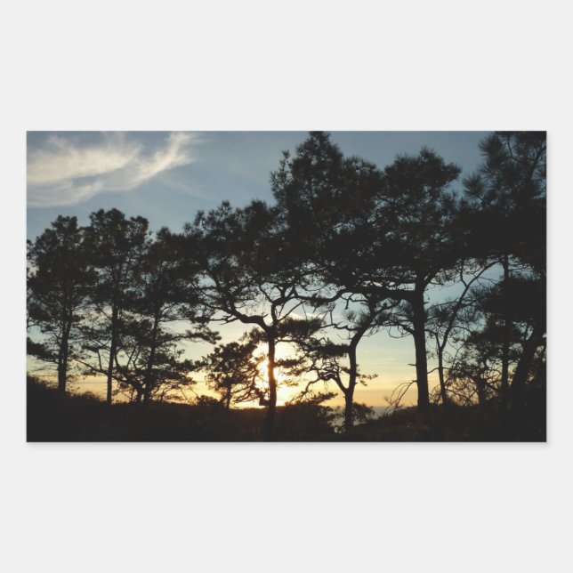 Torrey Pine Sunset II Kalifornien Landschaft Rechteckiger Aufkleber (Vorderseite)