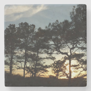 Torrey Pine Sunset II Kalifornien Landschaft Steinuntersetzer