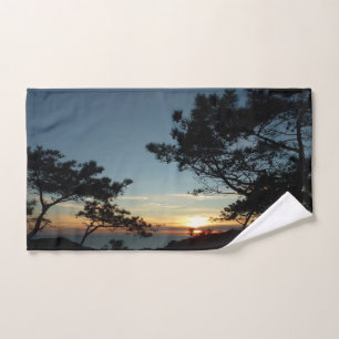 Torrey Pine Sunset III Paysage californien