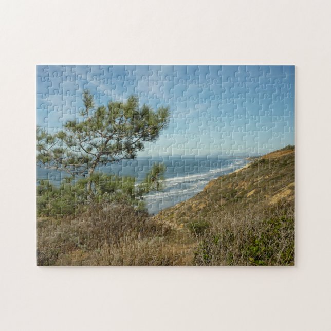 Torrey Pine und California Coastline Landschaft (Horizontal)