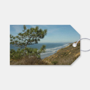 Torrey Pine und California Coastline Landschaft Geschenkanhänger