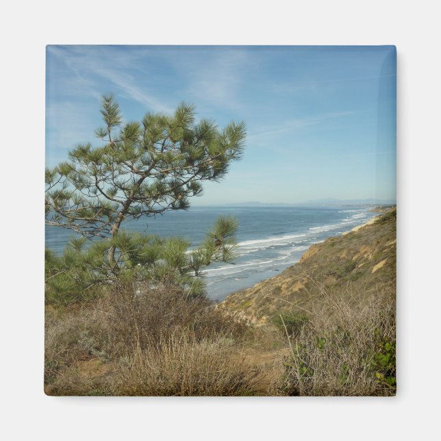 Torrey Pine und California Coastline Landschaft Magnet (Vorne)