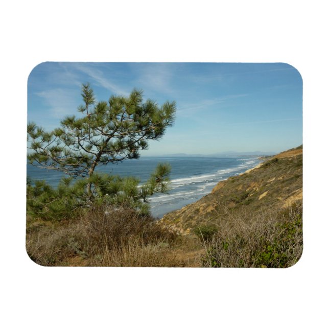 Torrey Pine und California Coastline Landschaft Magnet (Horizontal)