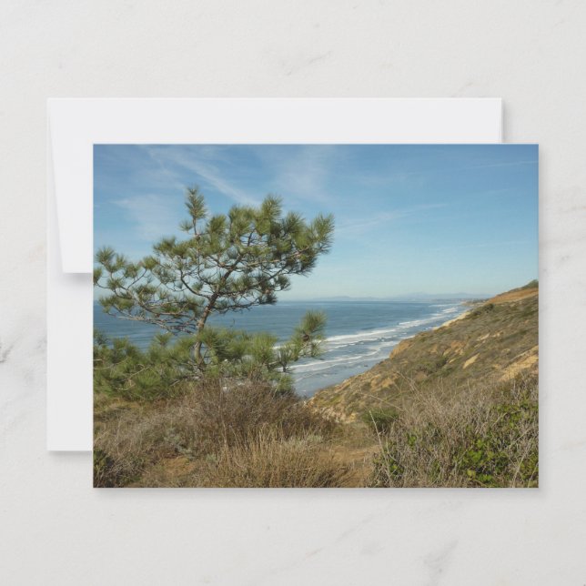 Torrey Pine und California Coastline Landschaft Mitteilungskarte (Vorderseite)