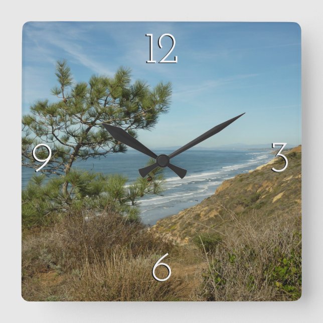 Torrey Pine und California Coastline Landschaft Quadratische Wanduhr (Vorderseite)