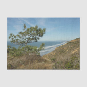 Torrey Pine und California Coastline Landschaft Seidenpapier