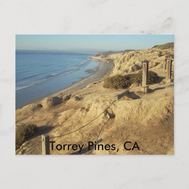 Torrey Pines, CA Postkarte (Vorderseite)