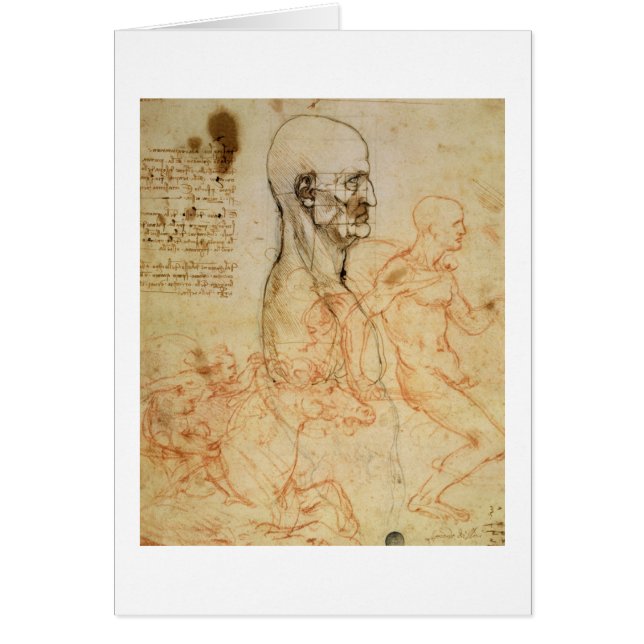 Torso eines Mannes im Profil, der Kopf quadriert (Vorne)