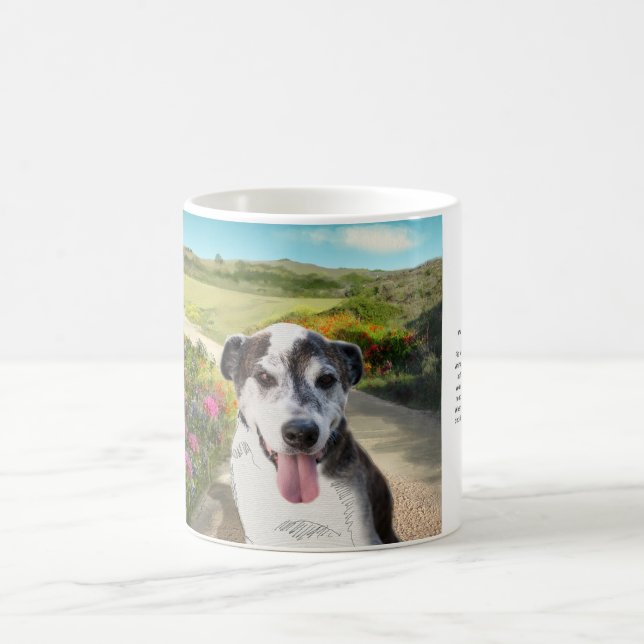 Torte auf einem Gebiet der Dahlien (Hund auf Kaffeetasse (Mittel)