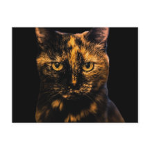 Tortie Cat Liebe Design #2