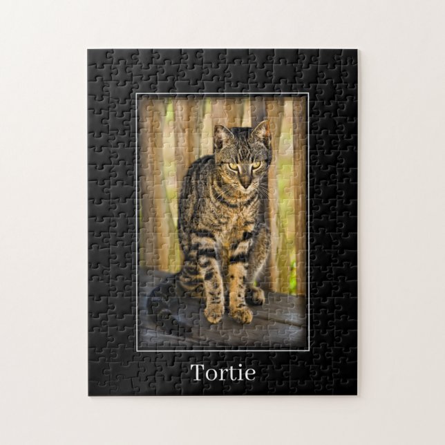 Tortie - Tortoiseshell Katze - Hausfotografie (Vertikal)