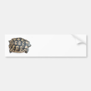 Tortoise Autoaufkleber