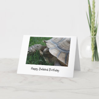 Tortoise Belated Birthday Card Karte