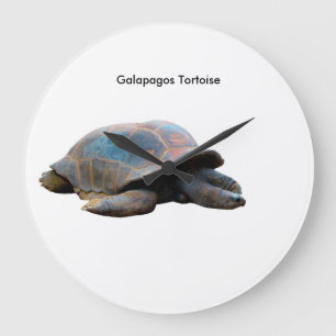 Tortoise-Bild für die Uhr