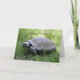 Tortoise Birthday Card Karte