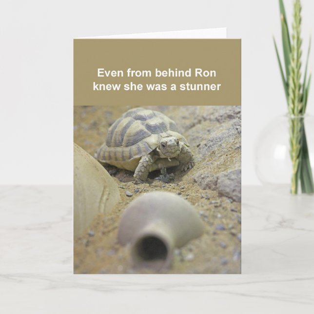 Tortoise Card Karte (Vorderseite)