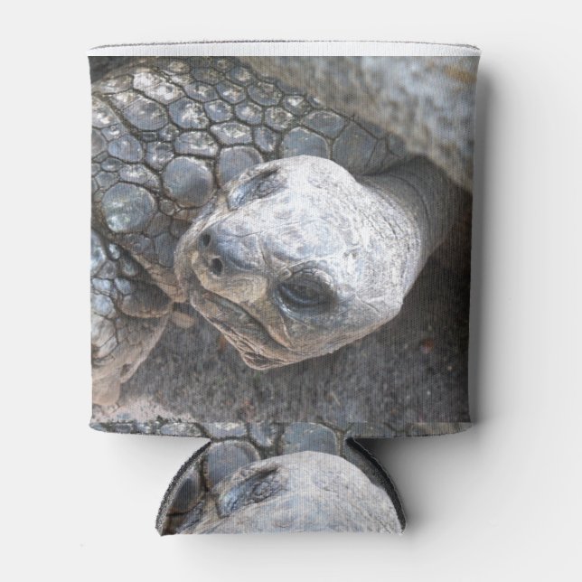 Tortoise Face Dosenkühler (Vorderseite)