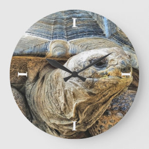 TORTOISE GROßE WANDUHR