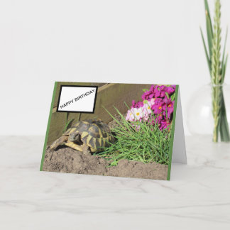 Tortoise Happy Birthday Card Karte