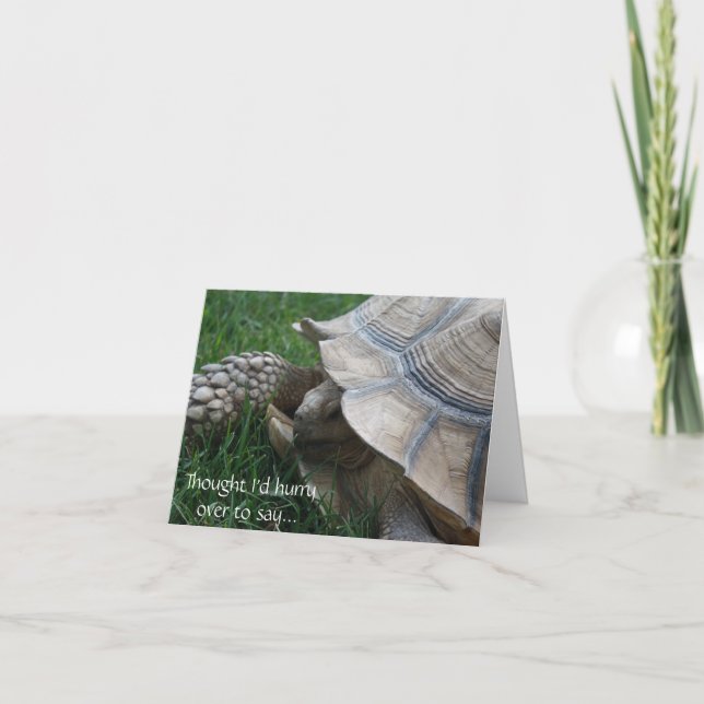 Tortoise Hurry Birthday Card Karte (Vorderseite)