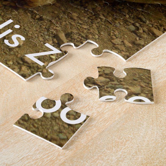 Tortoise im Zoo von Indianapolis (Seite)