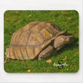 Tortoise Mouse mat Mousepad