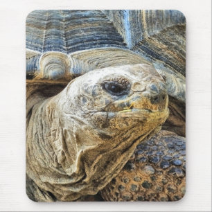 TORTOISE MOUSEPAD