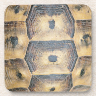 Tortoise Muschel Muster Getränkeuntersetzer