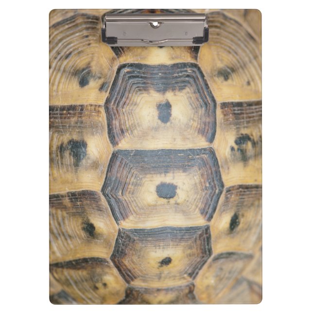 Tortoise Muschel Muster Klemmbrett (Vorderseite)