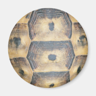 Tortoise Muschel Muster Magnet