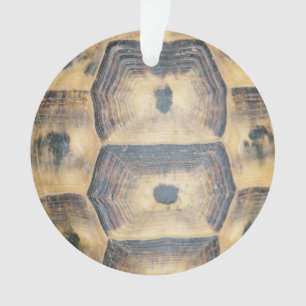Tortoise Muschel Muster Ornament