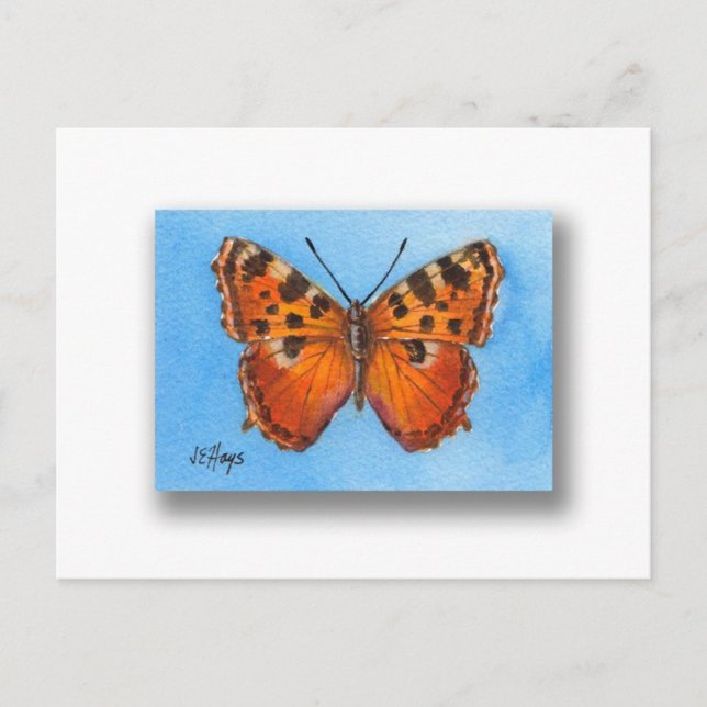 Tortoise Muschel Schmetterling Postkarte (Vorderseite)