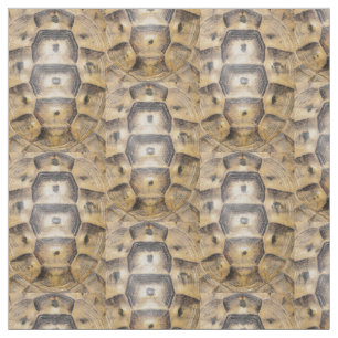 Tortoise-Muschel Stoff