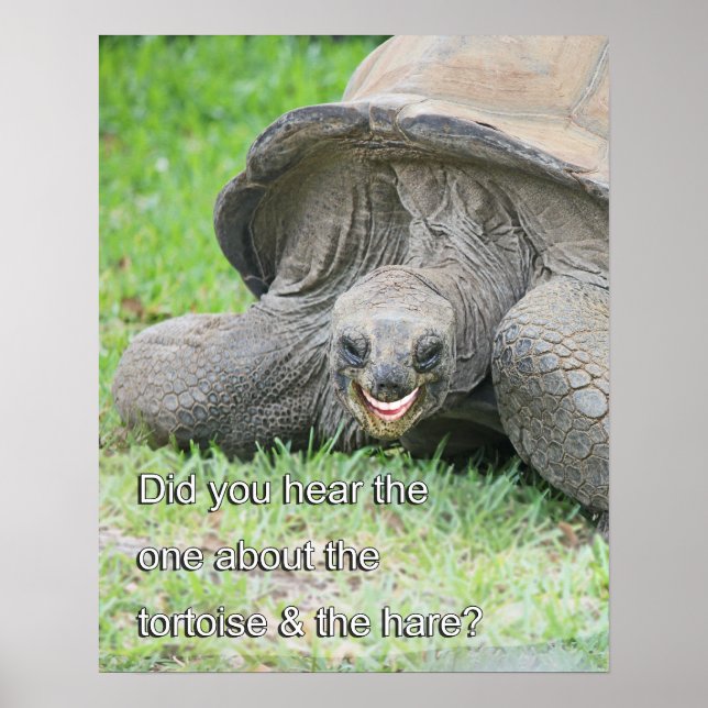 Tortoise Poster lächeln (Vorne)