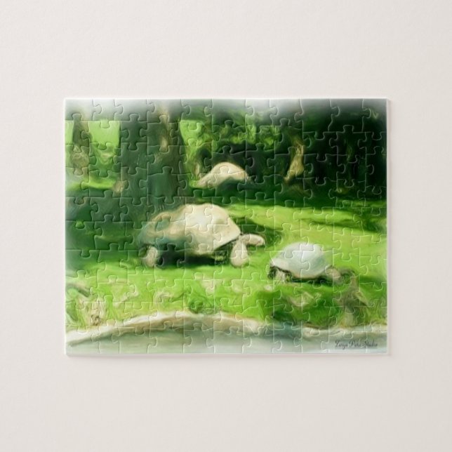 Tortoise Race (Horizontal)